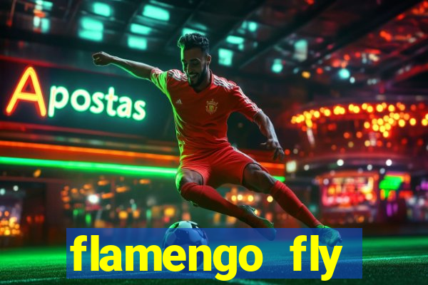 flamengo fly emirates ultimas noticias